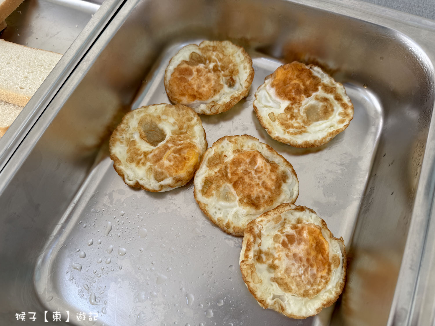  @猴子【東】遊記