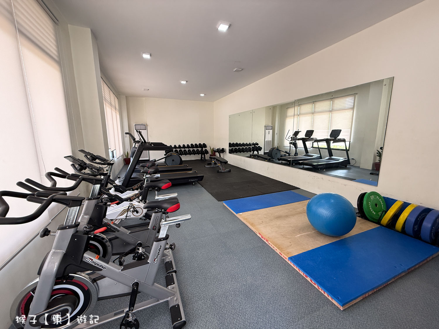  @猴子【東】遊記