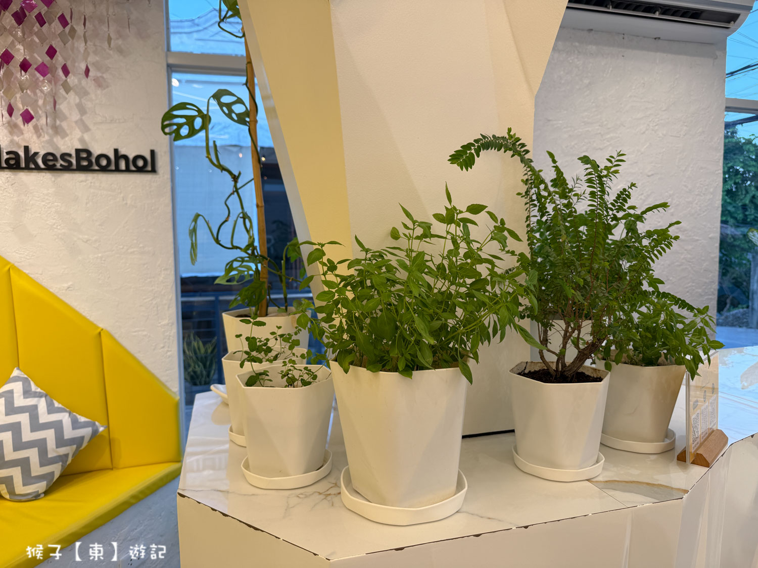  @猴子【東】遊記