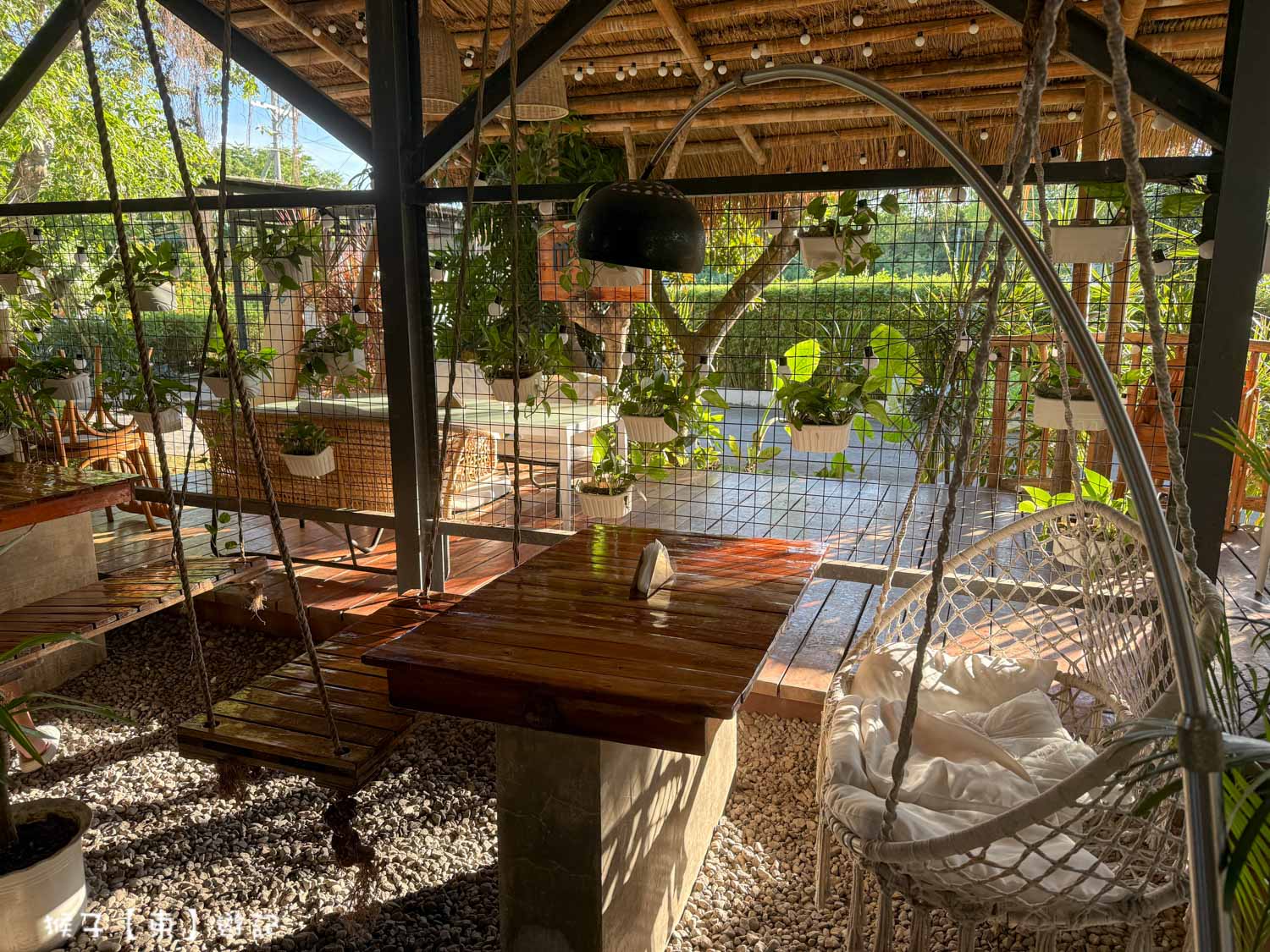  @猴子【東】遊記