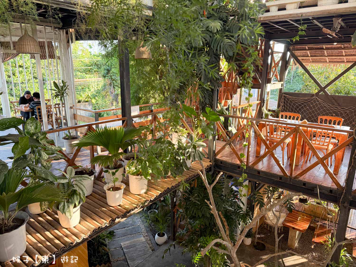  @猴子【東】遊記