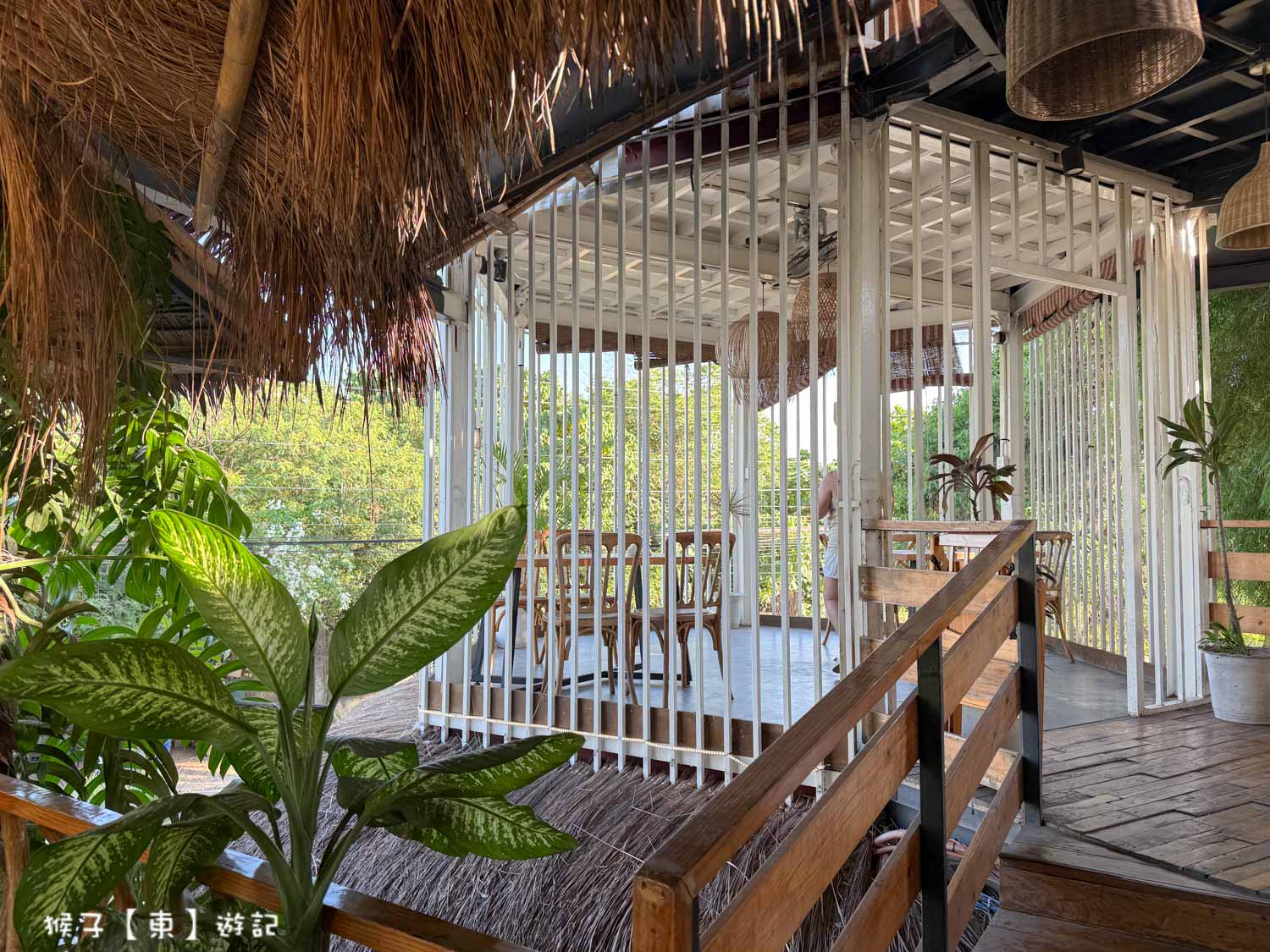  @猴子【東】遊記