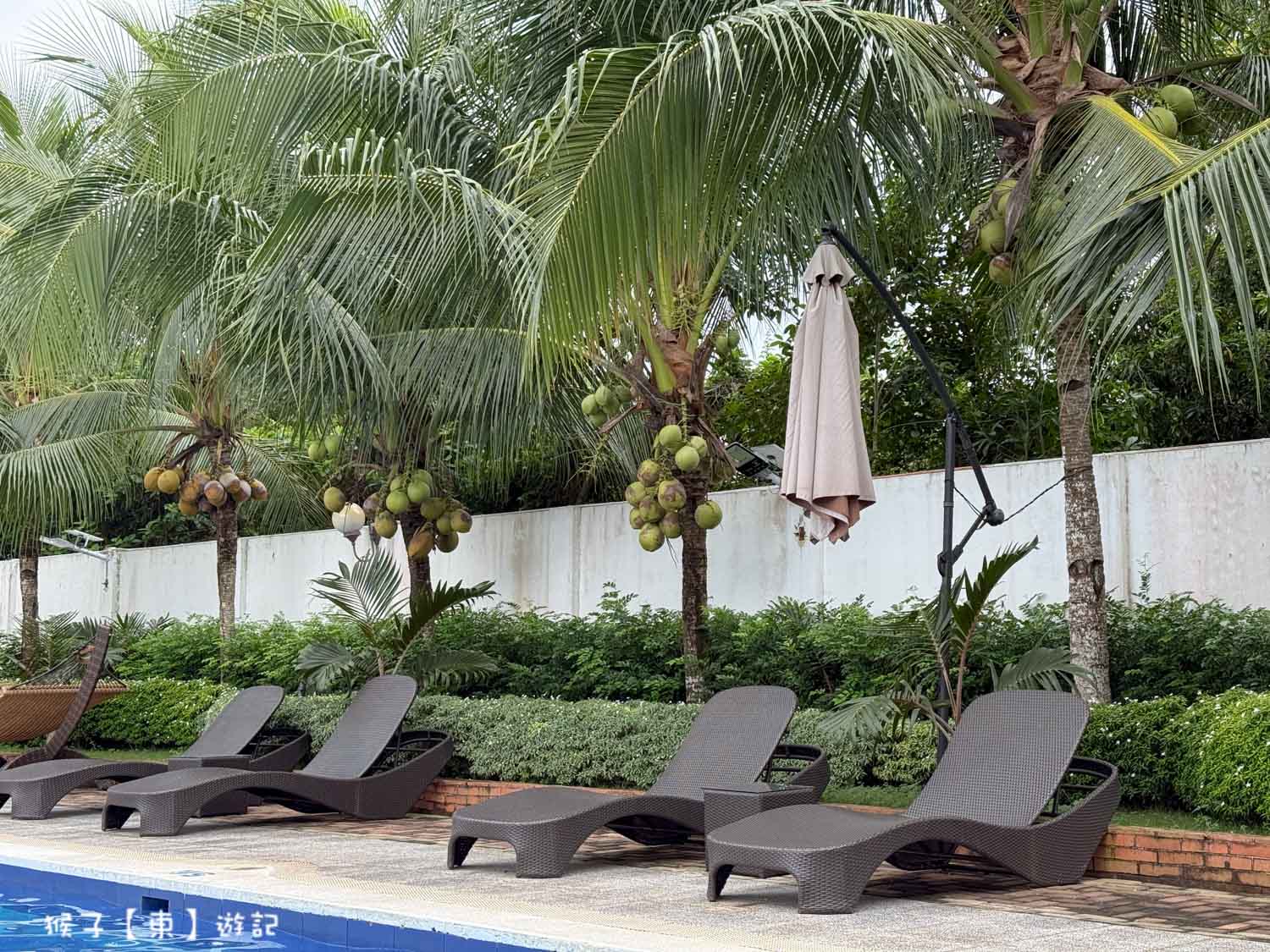  @猴子【東】遊記