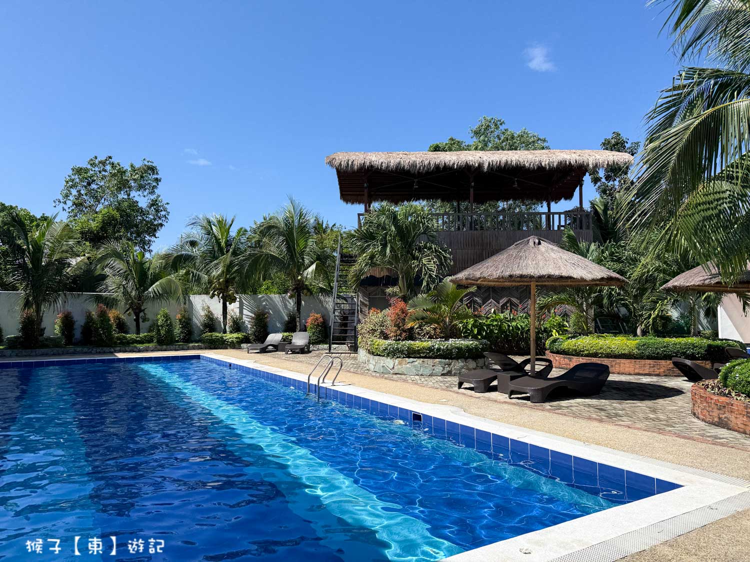  @猴子【東】遊記