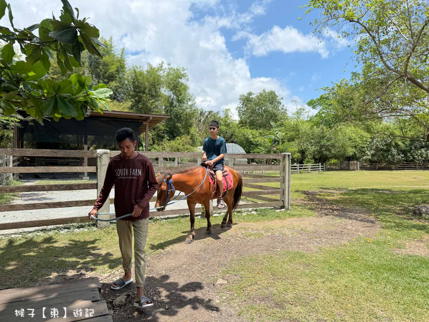 網站近期文章：[薄荷島] South Farm Panglao Bohol 免費騎馬 餵食小動物 釣魚 親子農場 薄荷島自由行 邦勞島一日遊