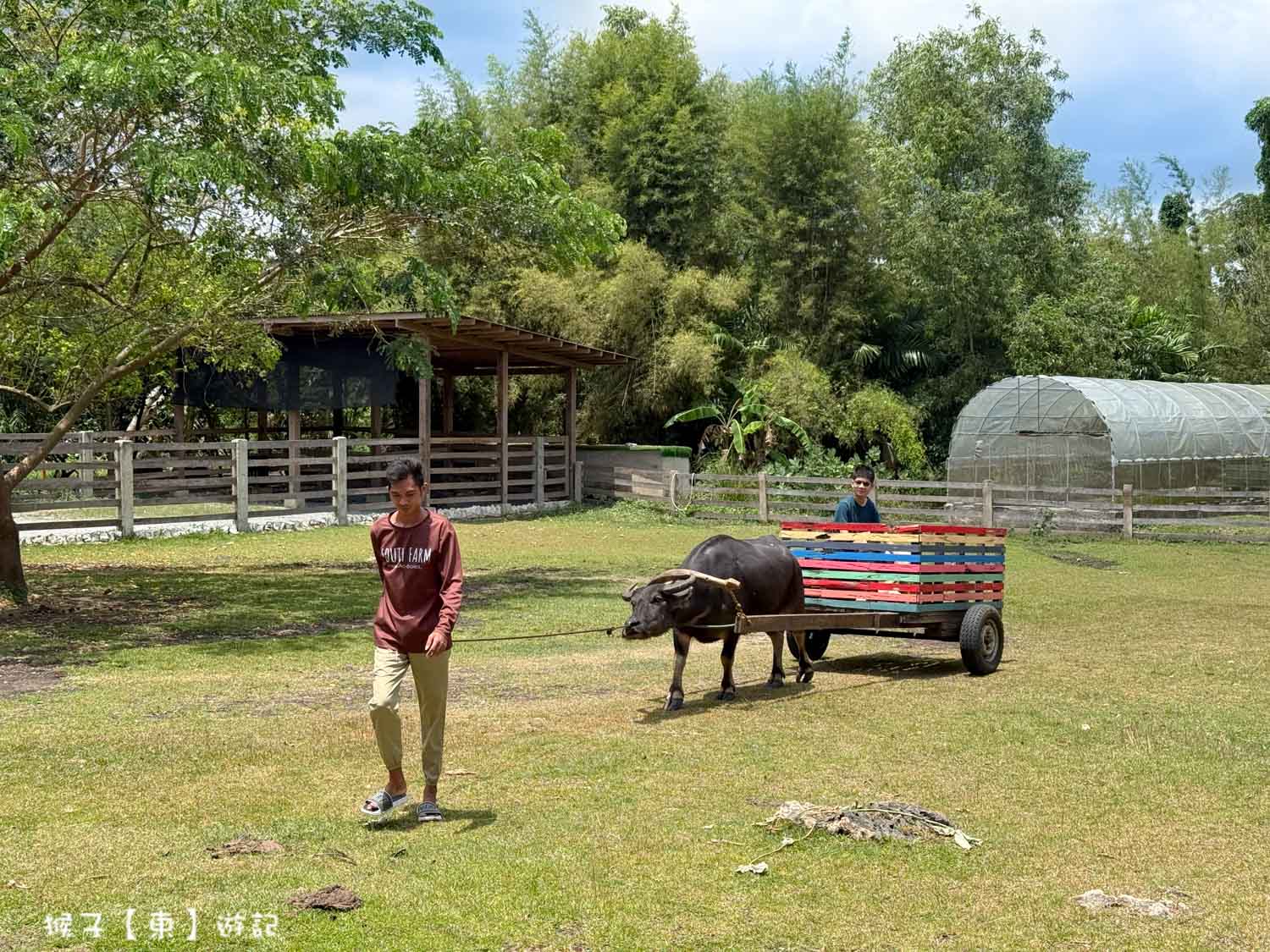  @猴子【東】遊記