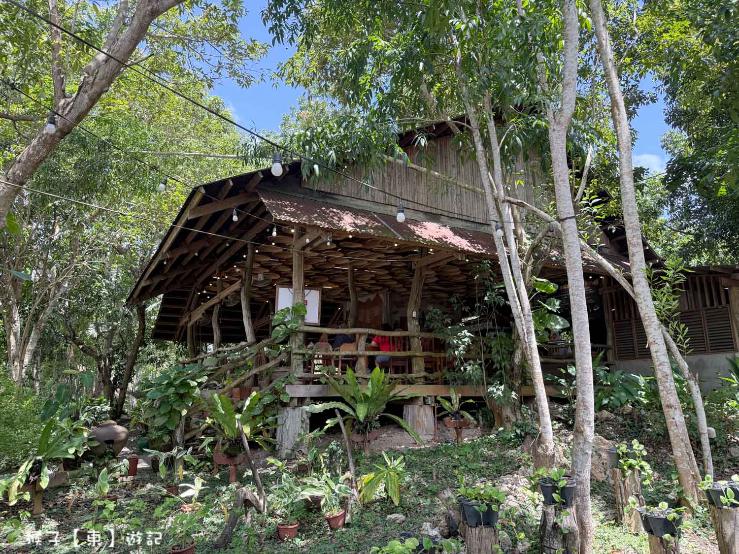  @猴子【東】遊記