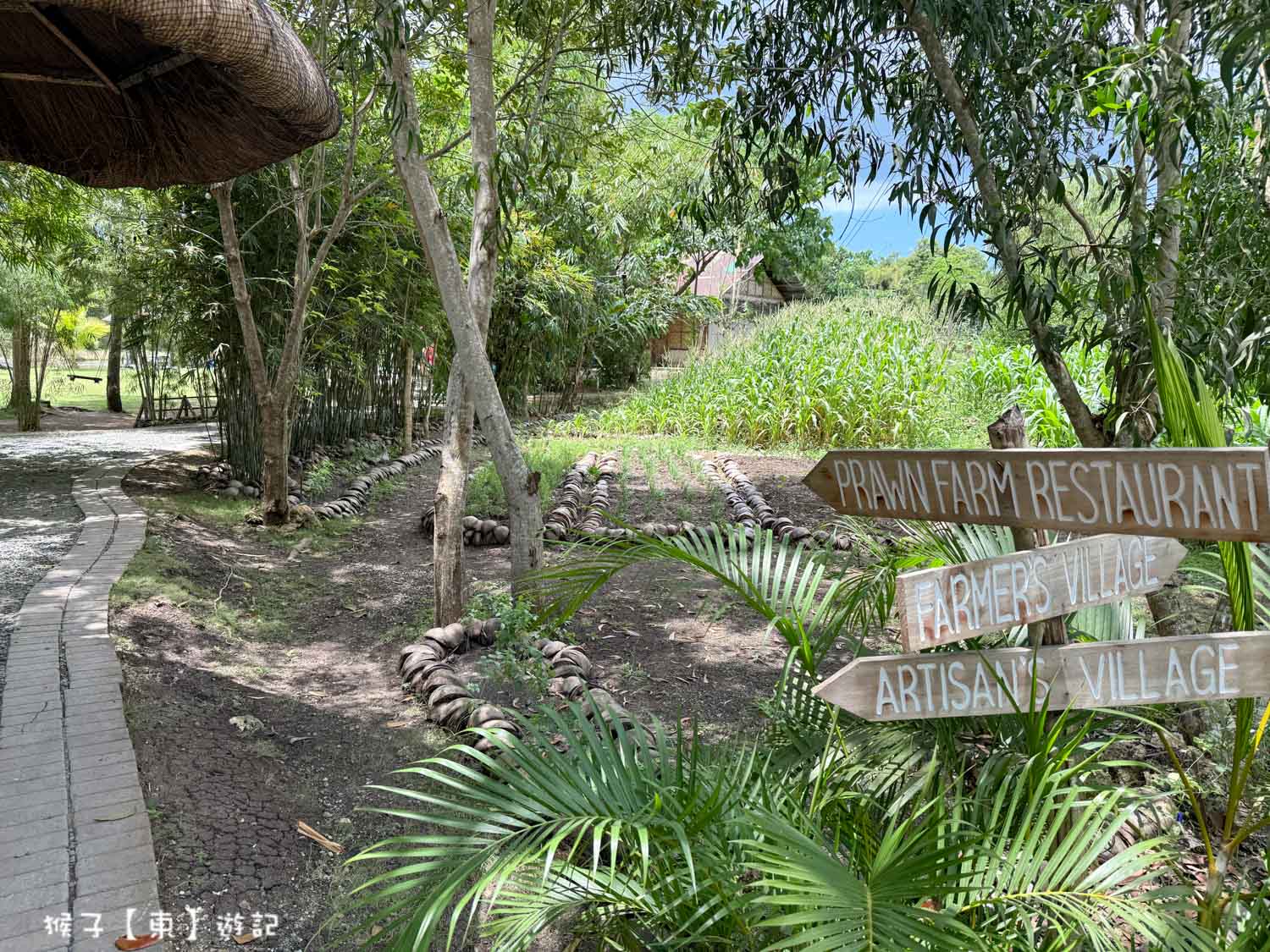  @猴子【東】遊記