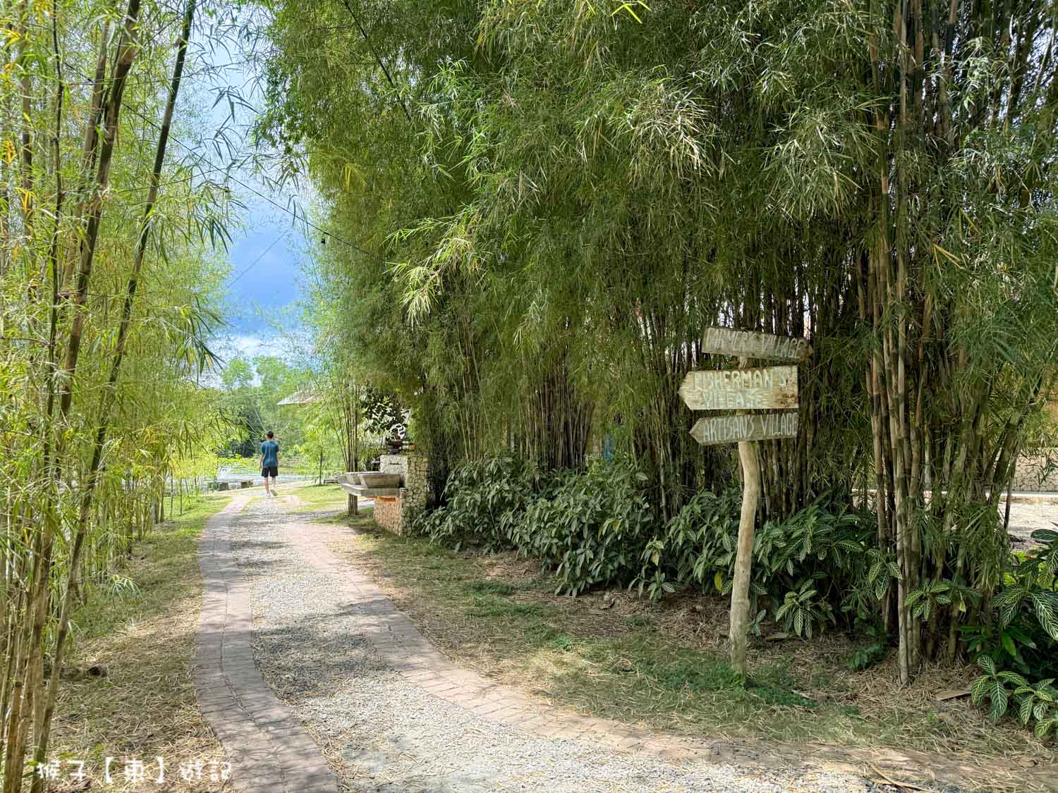  @猴子【東】遊記