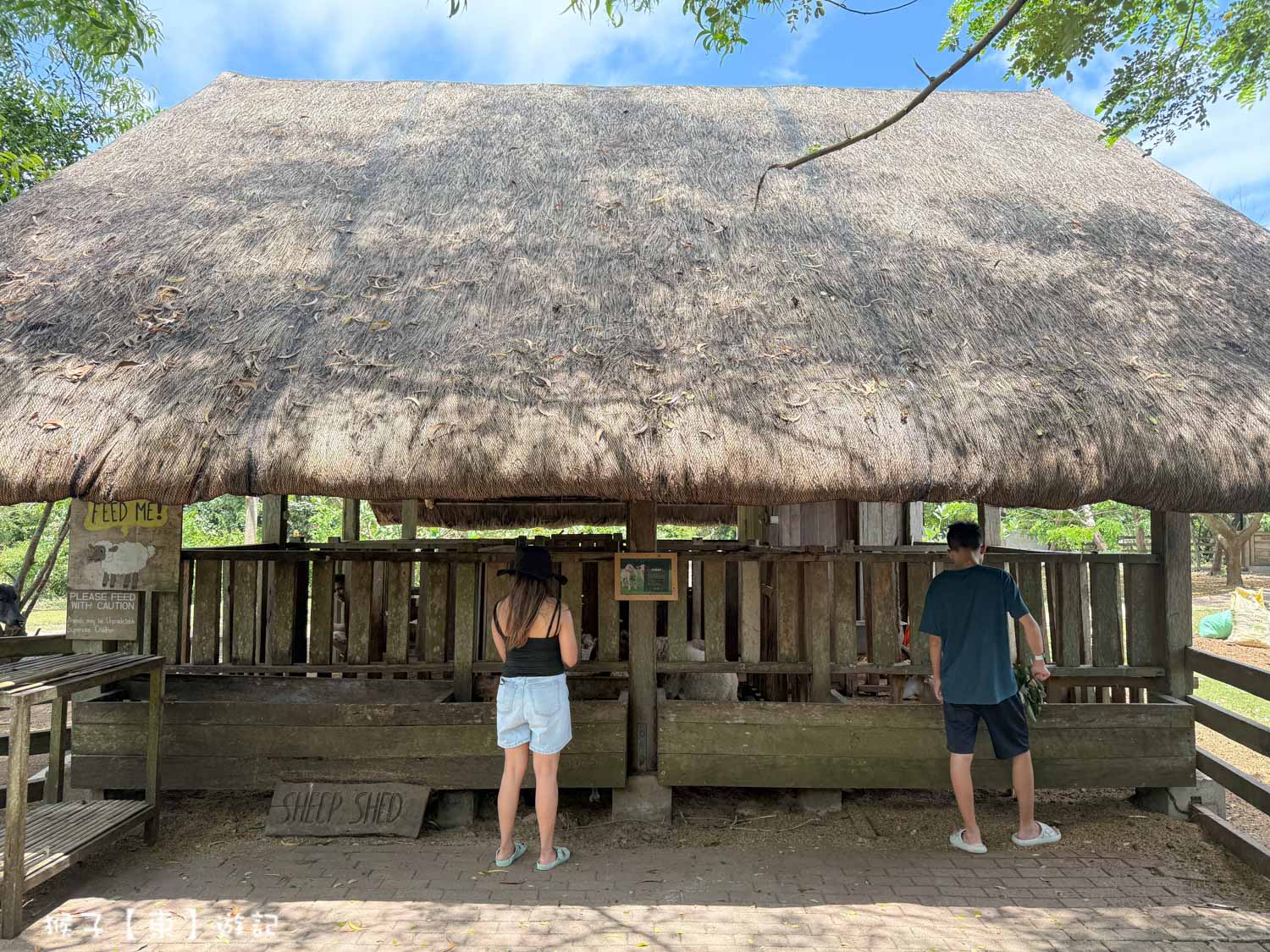  @猴子【東】遊記