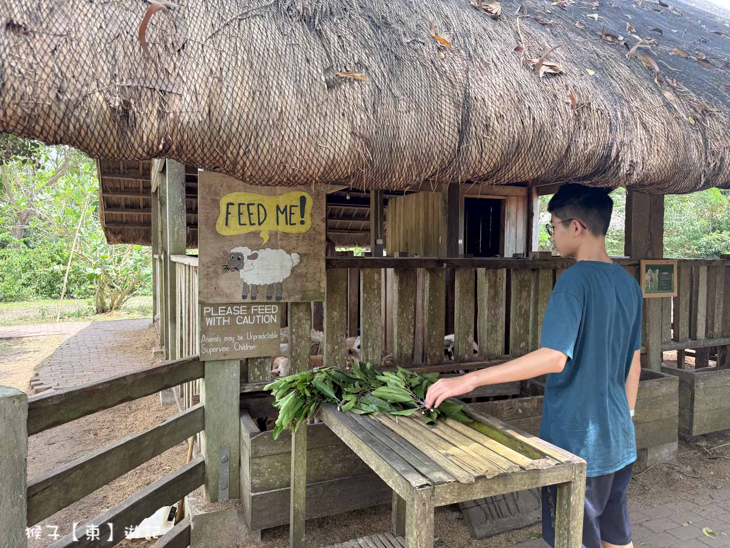  @猴子【東】遊記