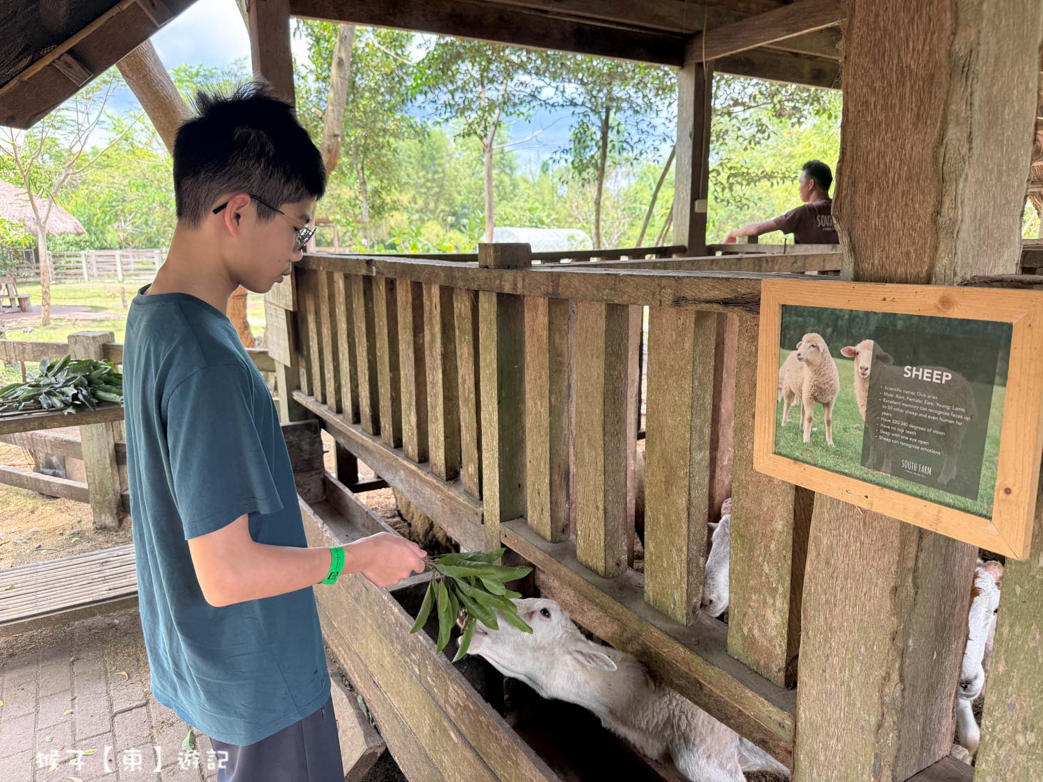  @猴子【東】遊記