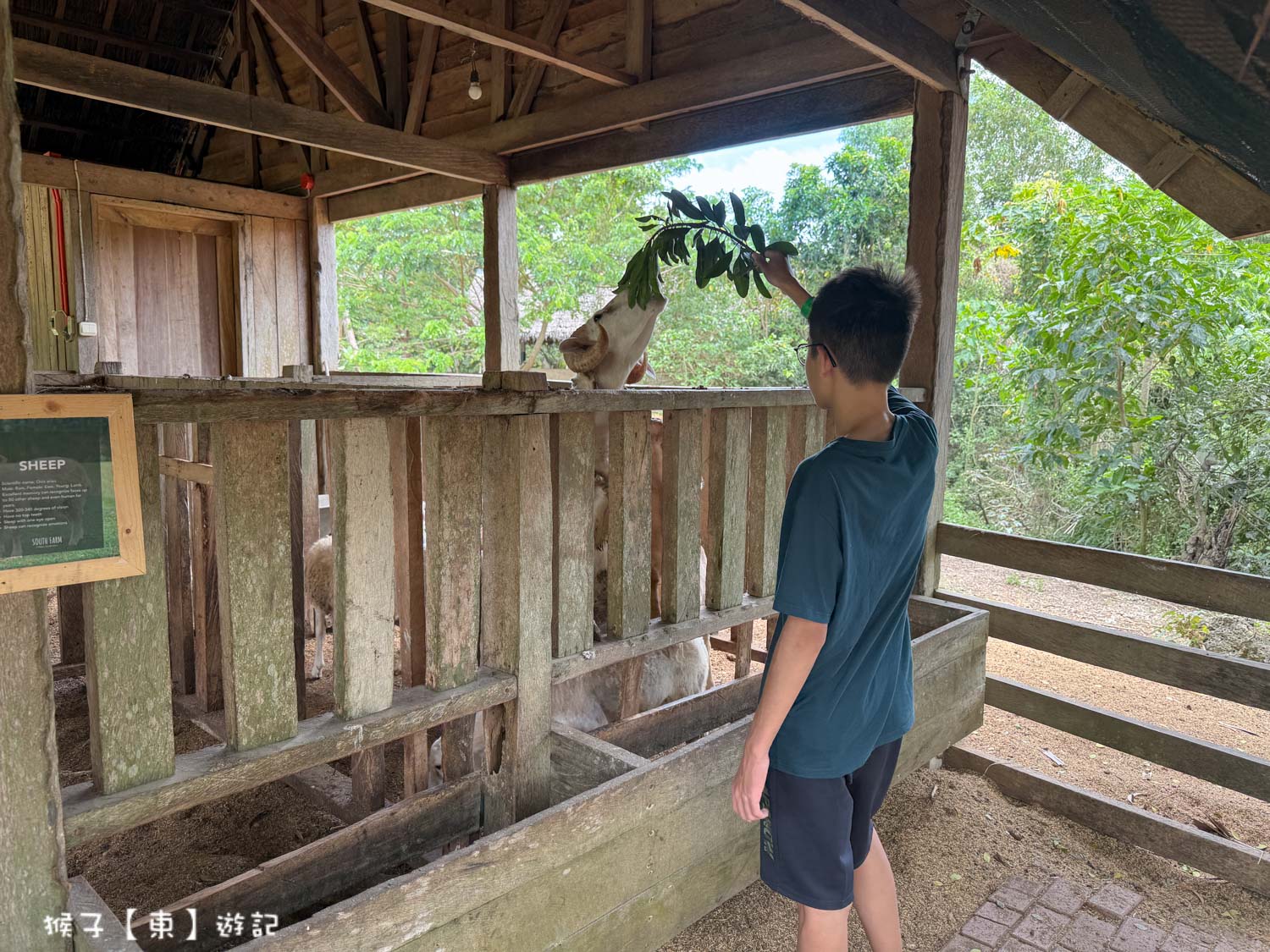  @猴子【東】遊記