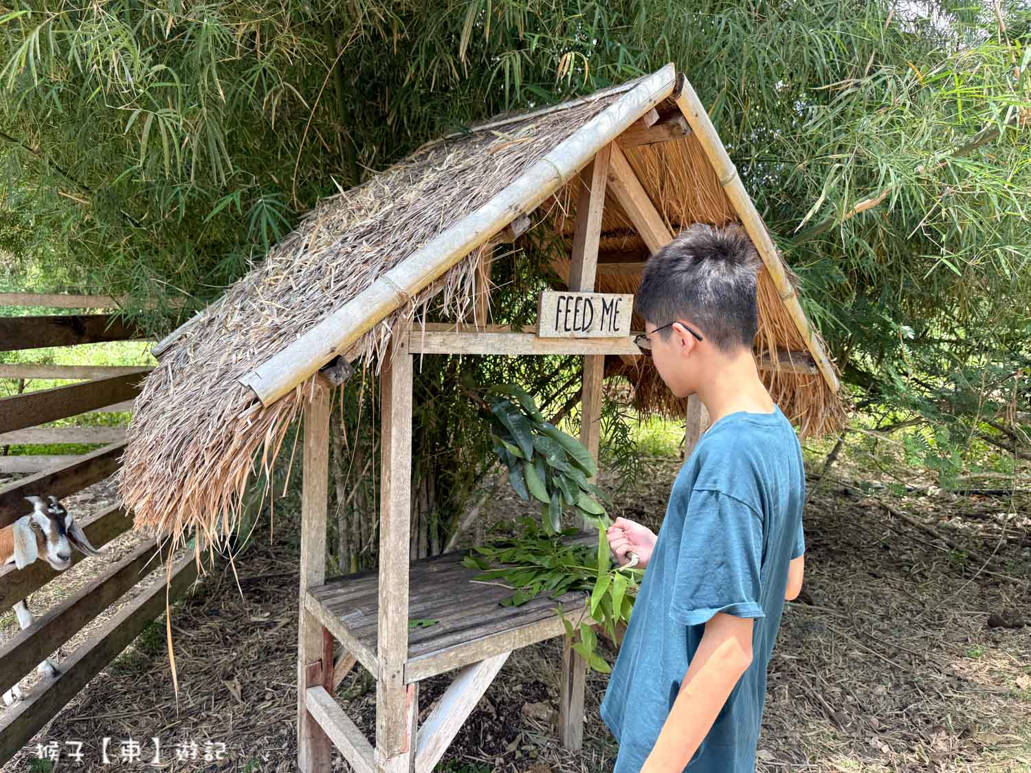  @猴子【東】遊記