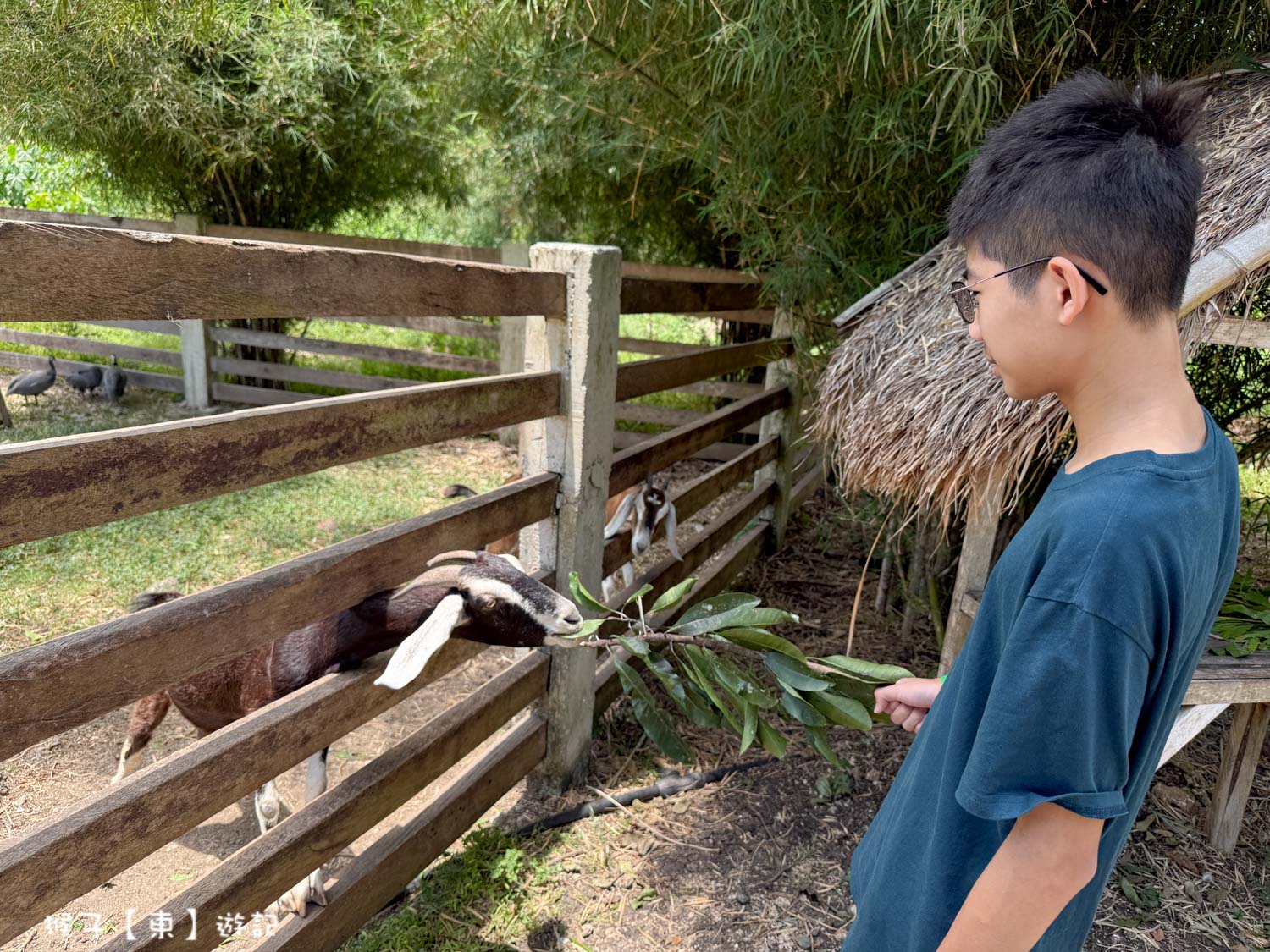  @猴子【東】遊記