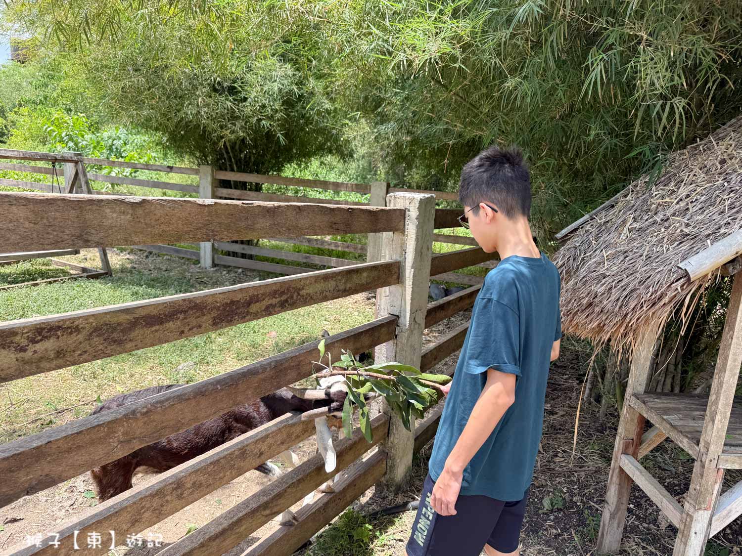  @猴子【東】遊記