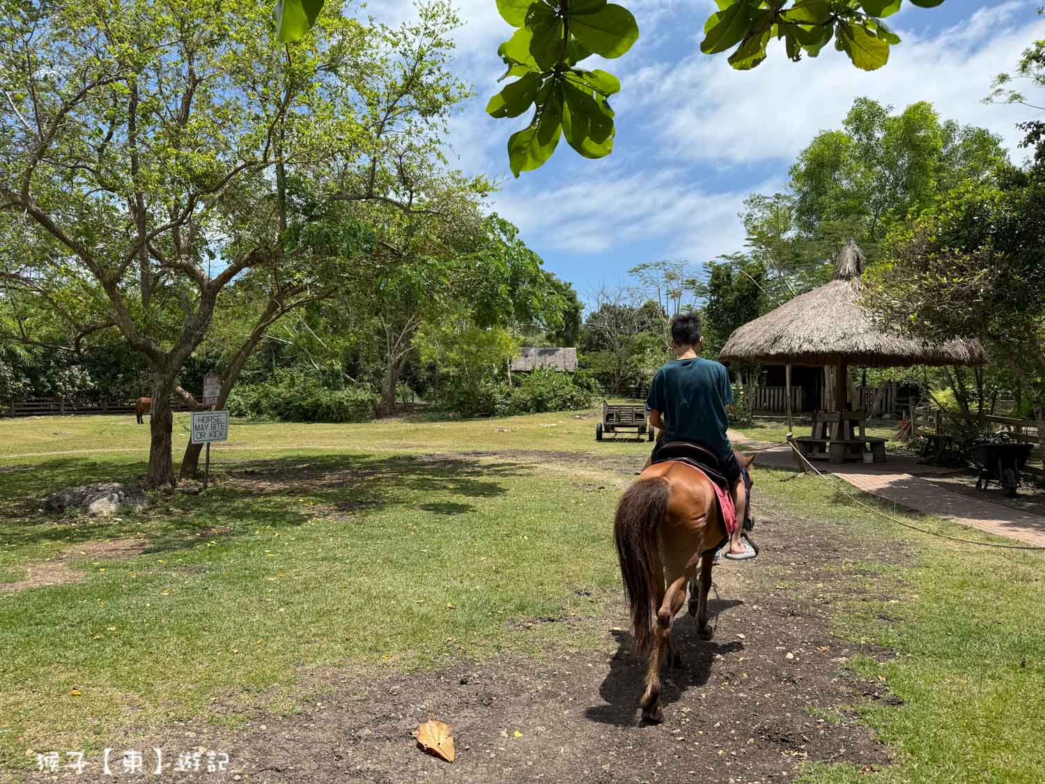  @猴子【東】遊記