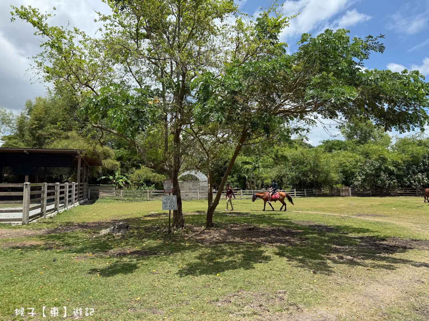  @猴子【東】遊記