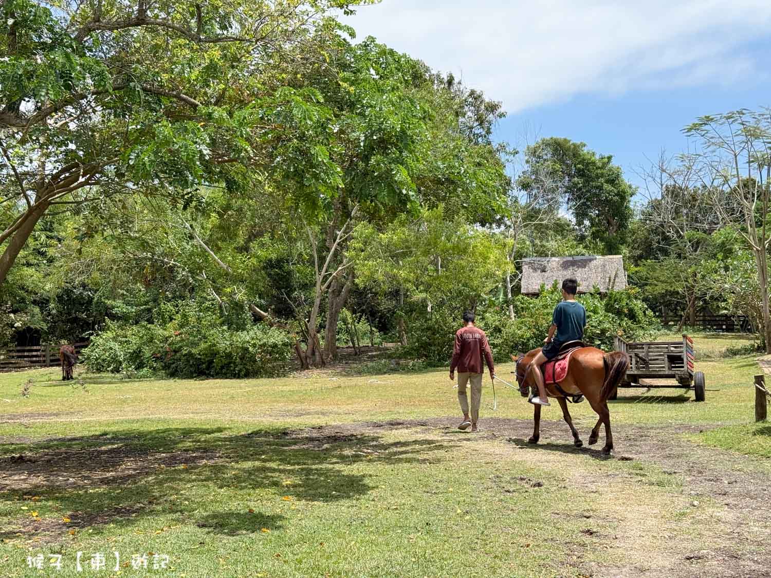  @猴子【東】遊記