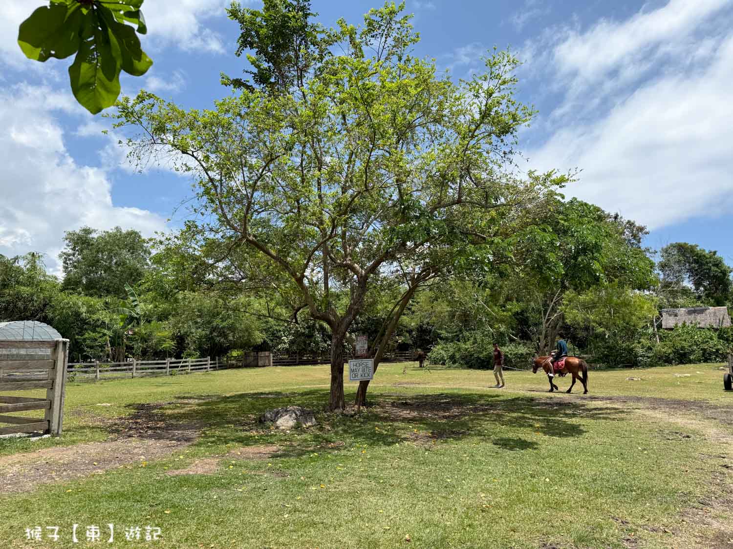  @猴子【東】遊記