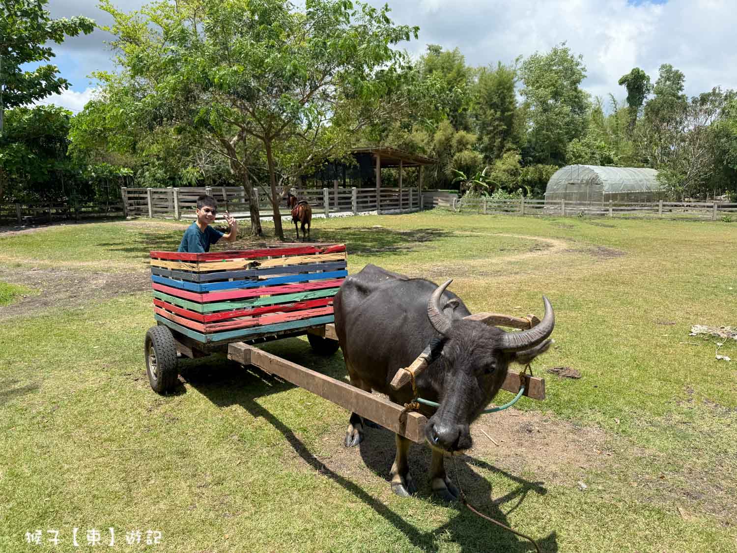  @猴子【東】遊記