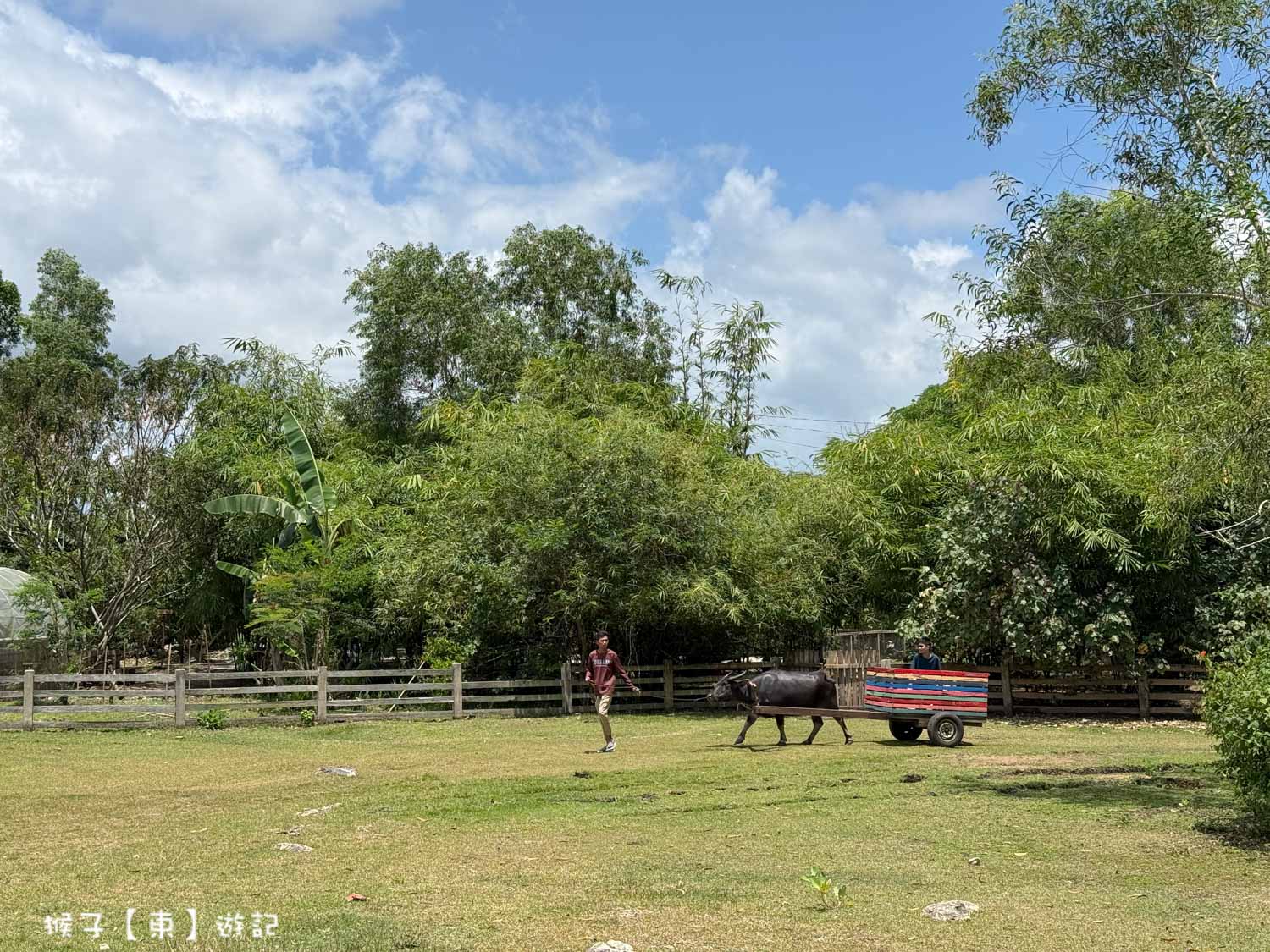  @猴子【東】遊記