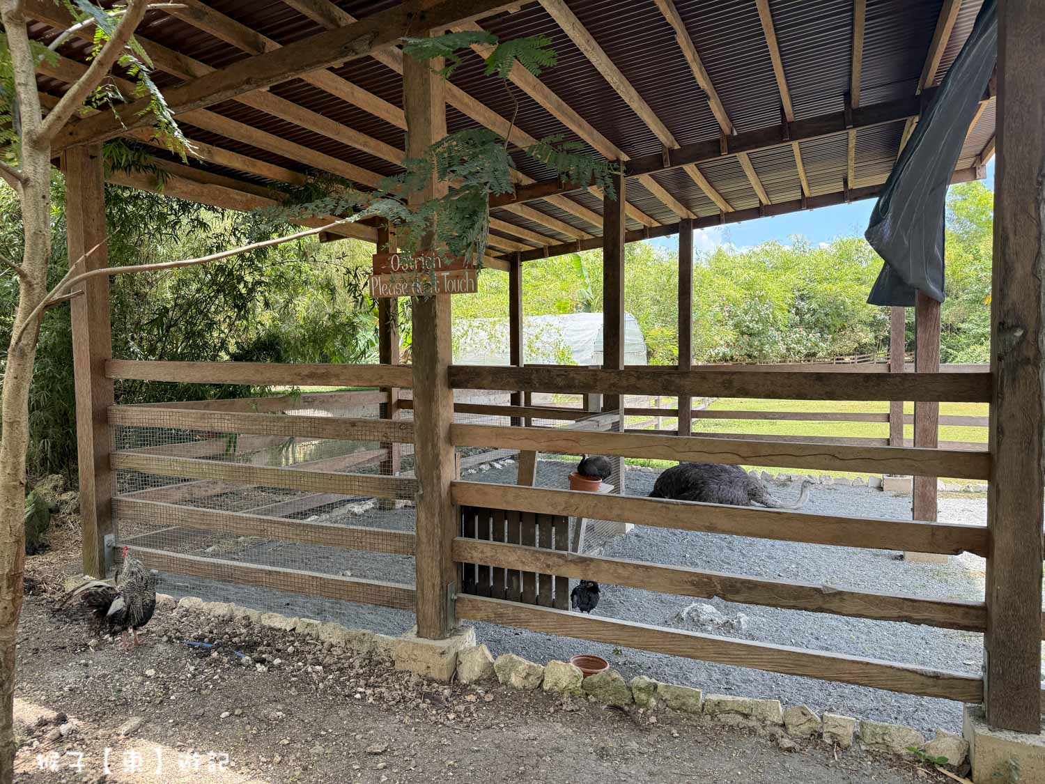  @猴子【東】遊記