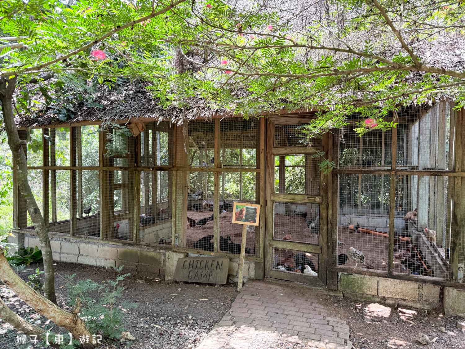  @猴子【東】遊記