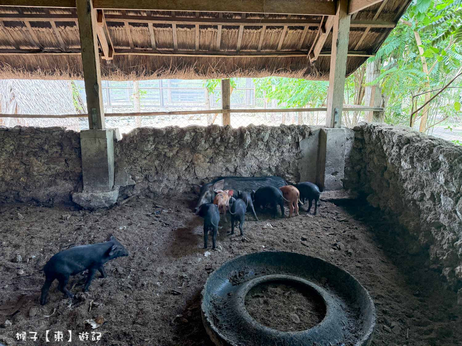  @猴子【東】遊記