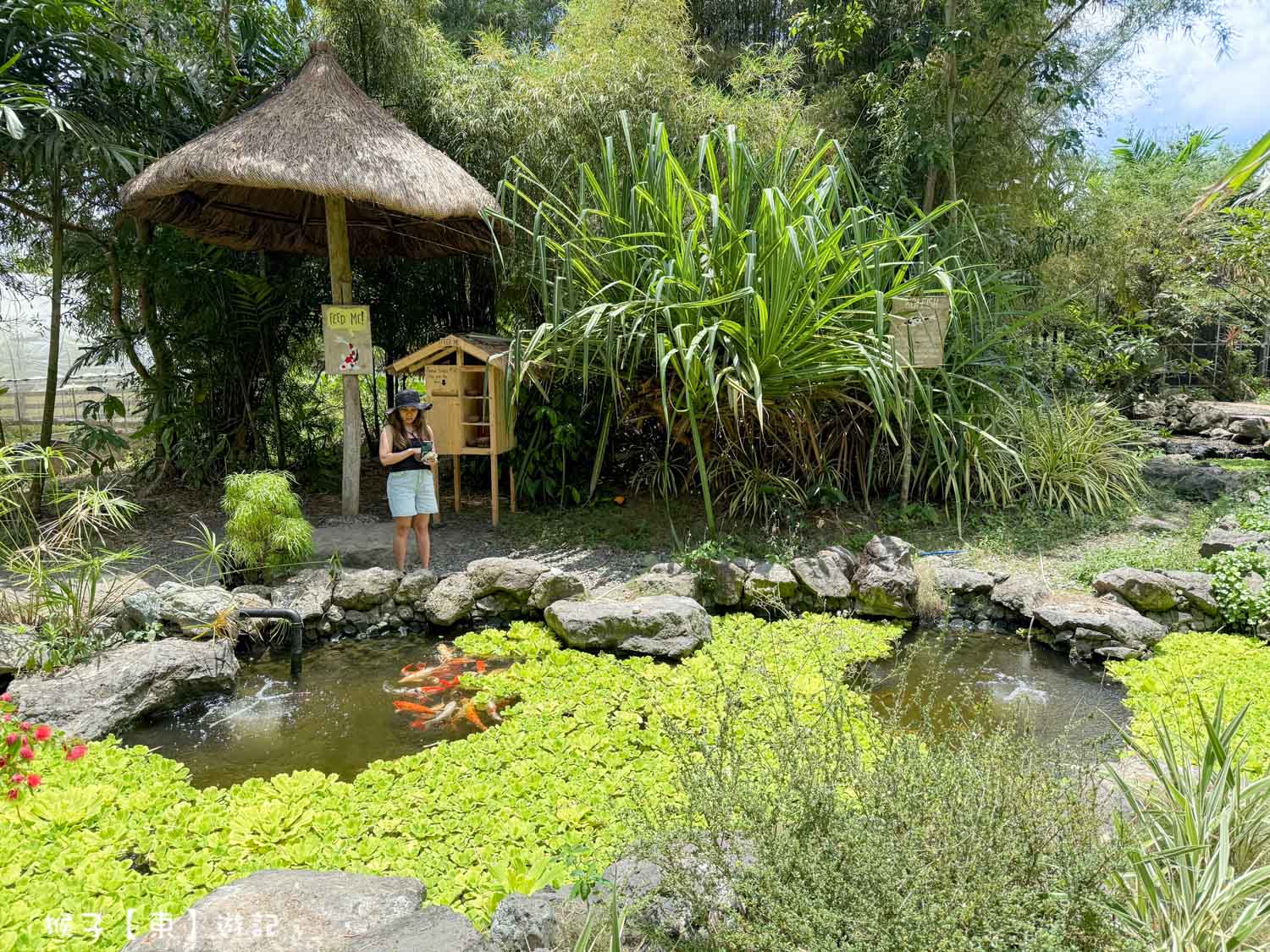  @猴子【東】遊記