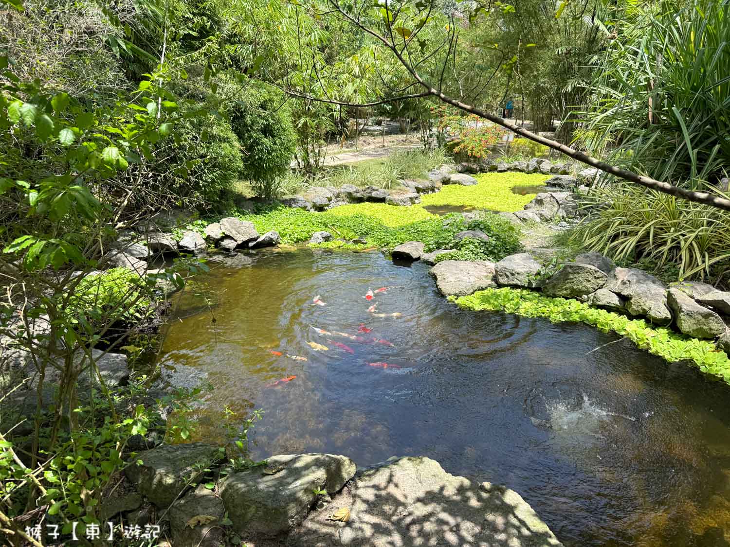  @猴子【東】遊記