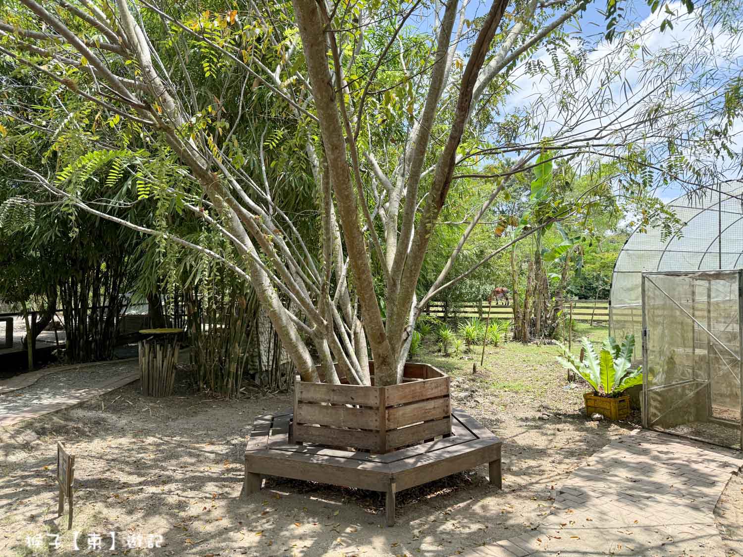  @猴子【東】遊記