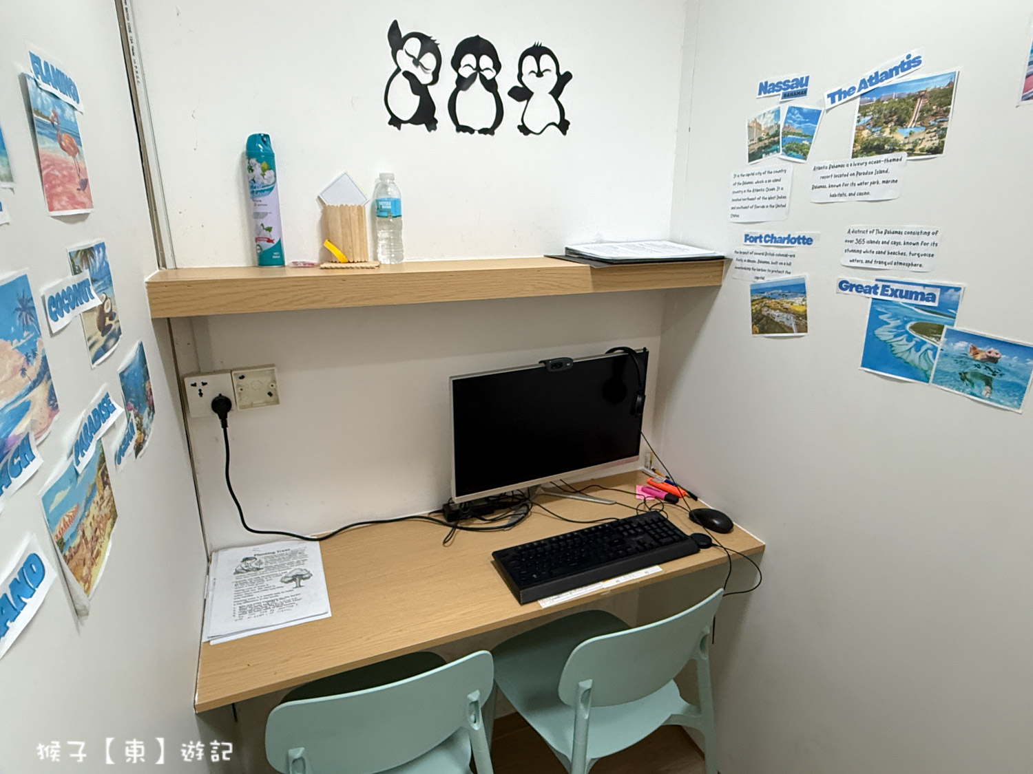 薄荷島親子遊學課程一對一