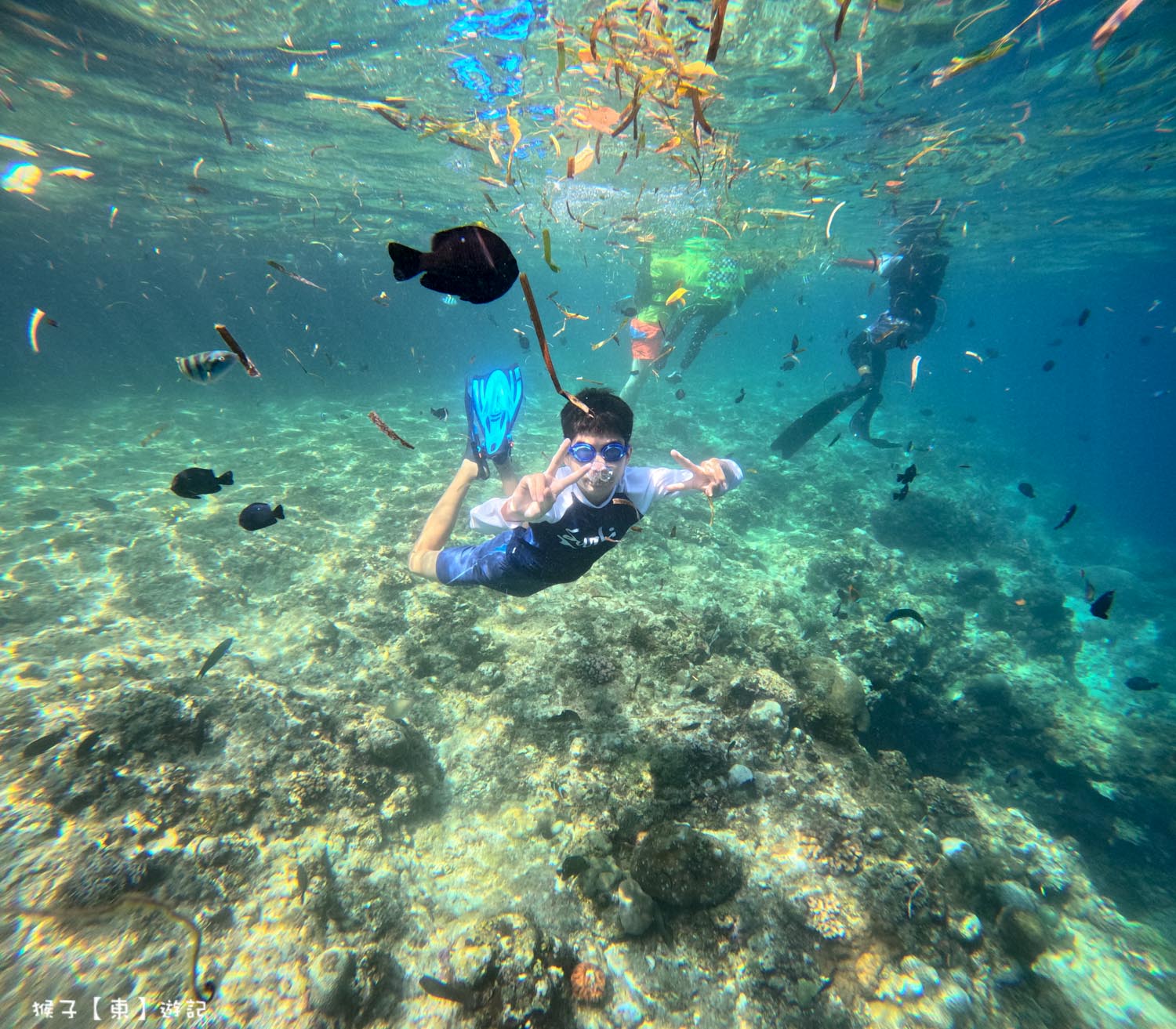 網站近期文章：[薄荷島] Napaling Reef 浮潛 潛水 沙丁魚風暴 費用 交通 浮潛心得 海景咖啡廳