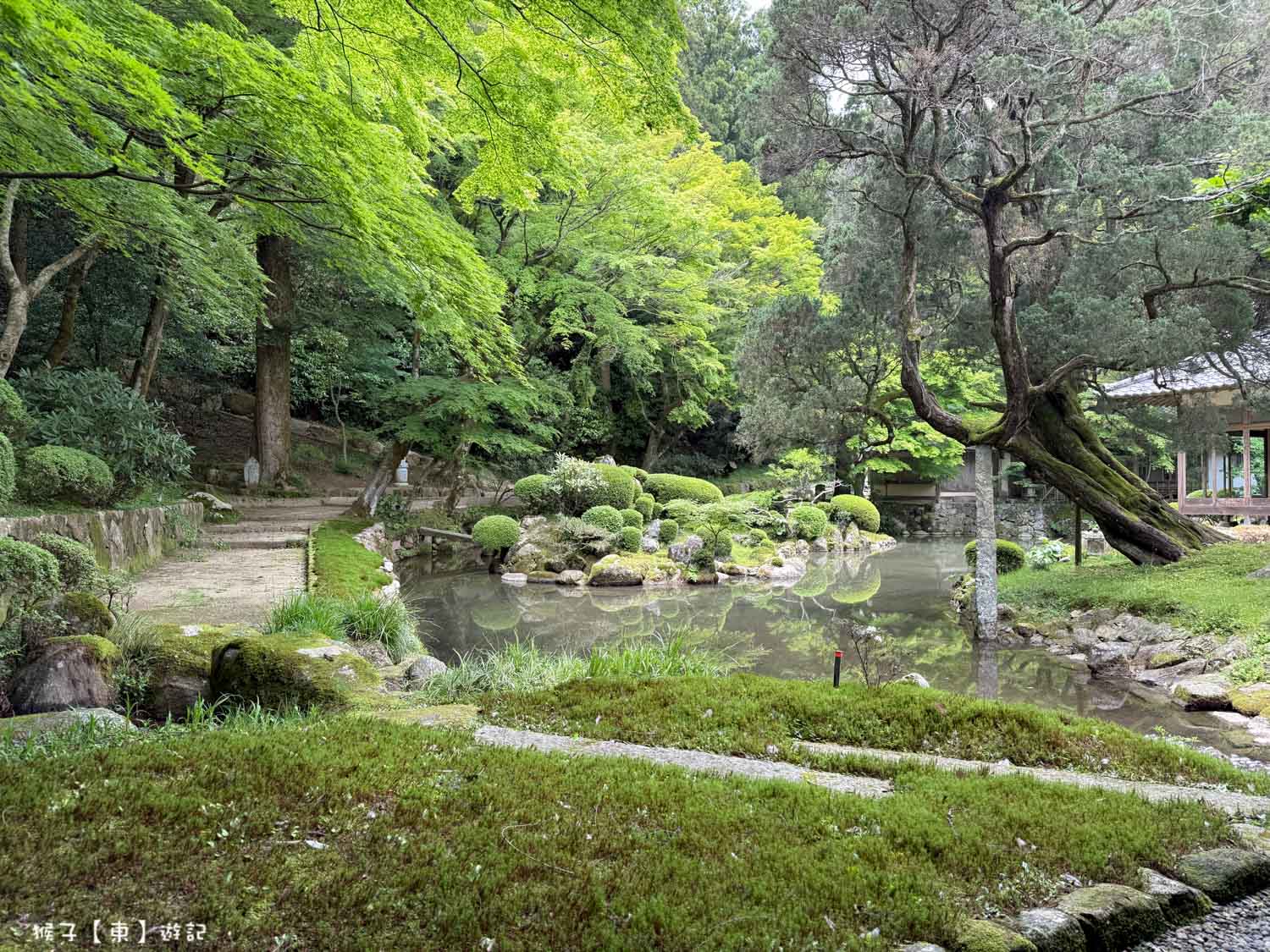  @猴子【東】遊記