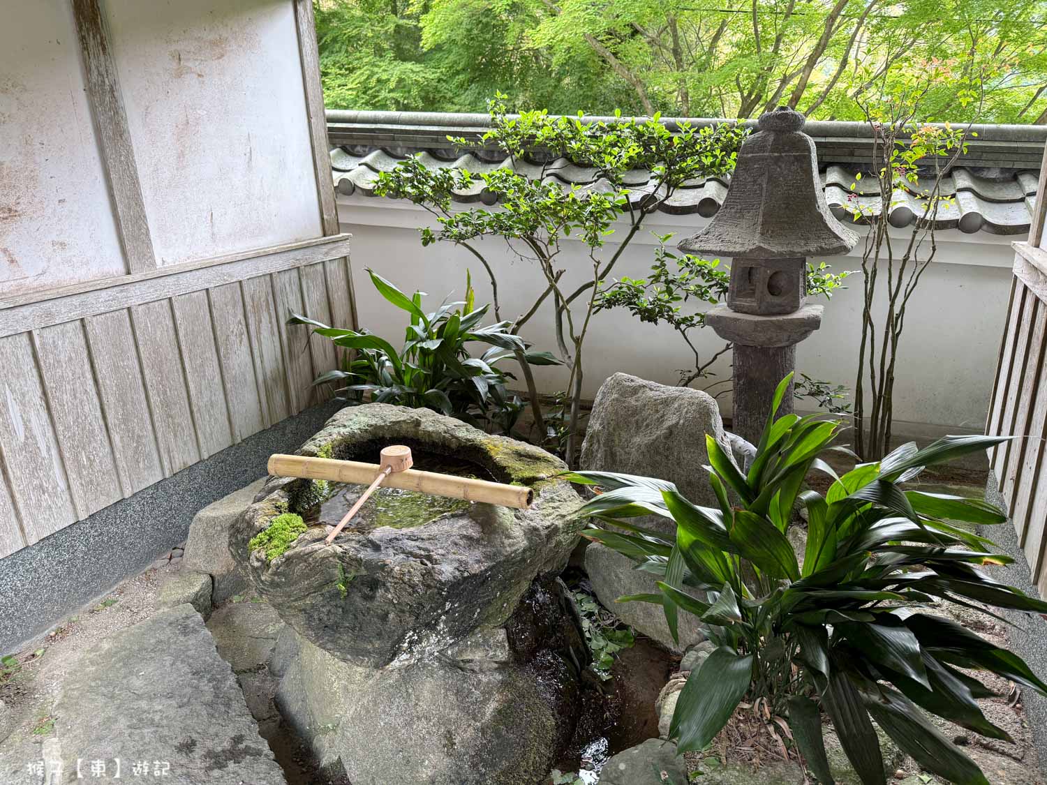  @猴子【東】遊記