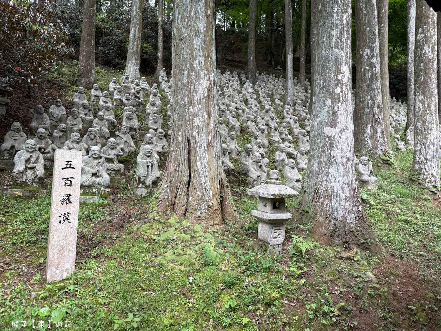  @猴子【東】遊記
