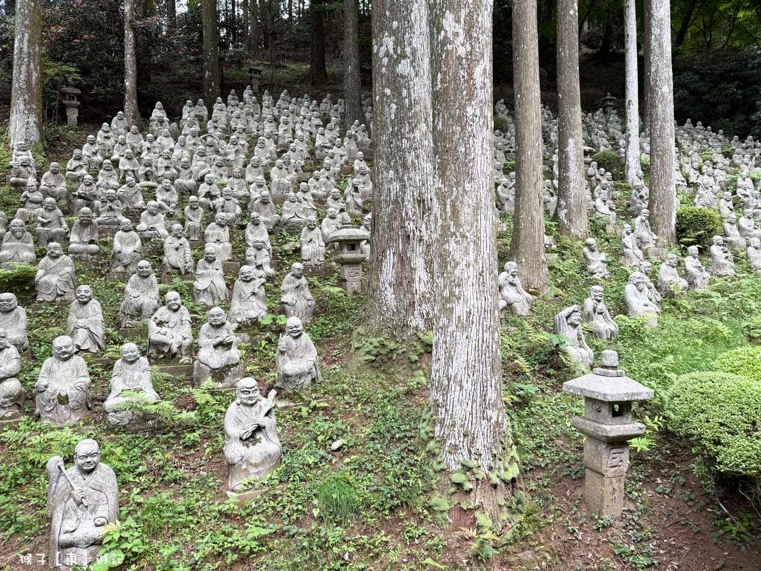  @猴子【東】遊記