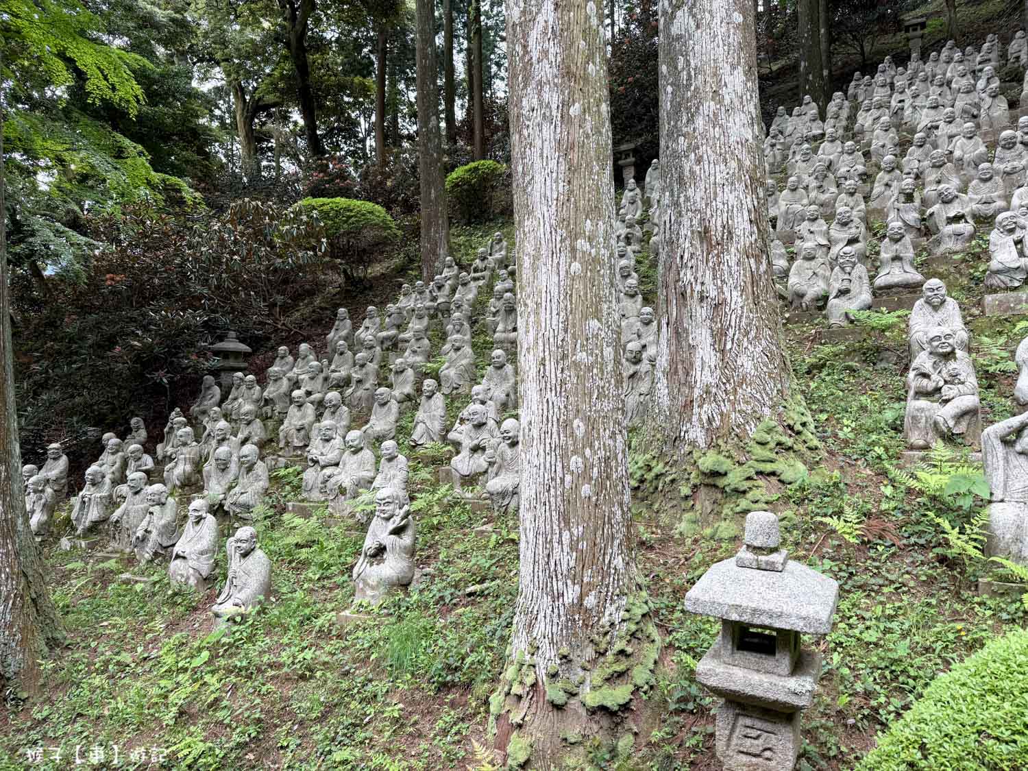  @猴子【東】遊記