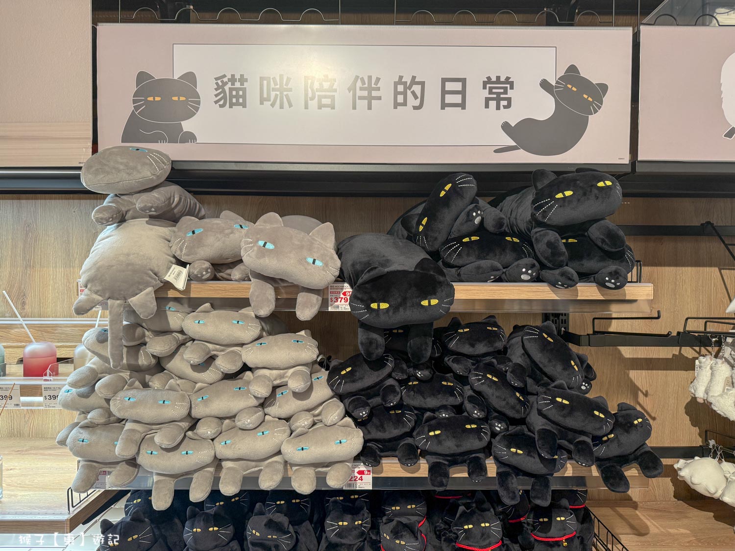  @猴子【東】遊記