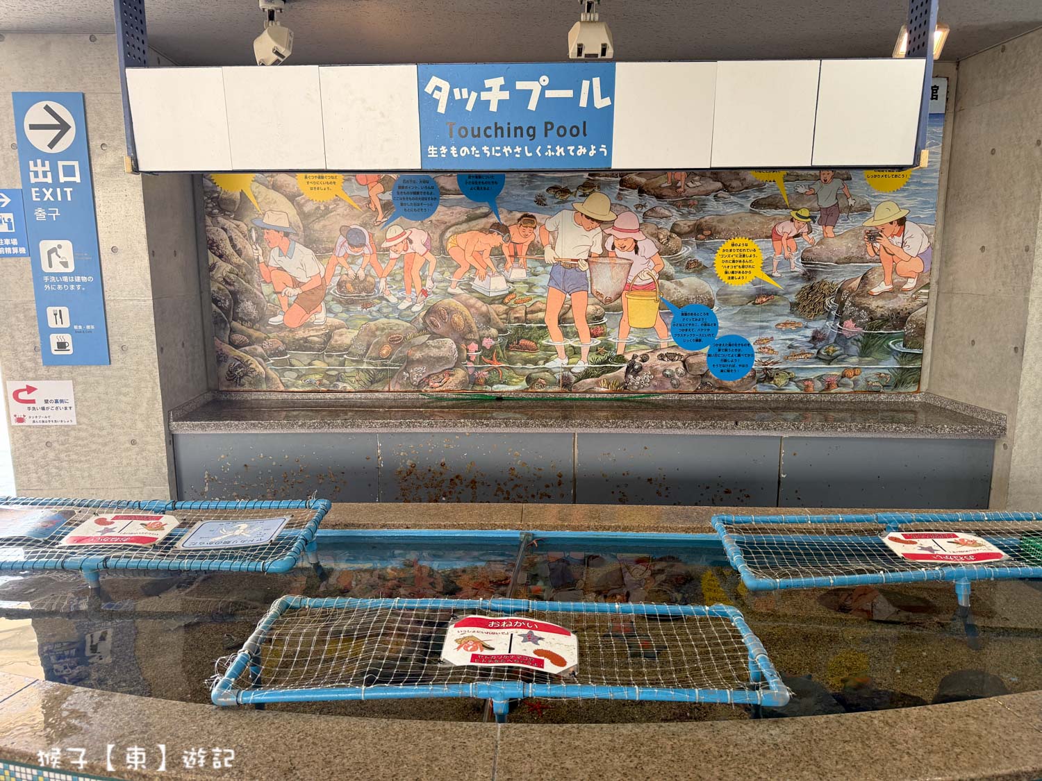  @猴子【東】遊記